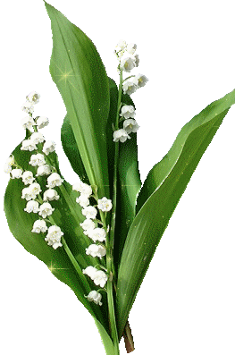 muguet.gif